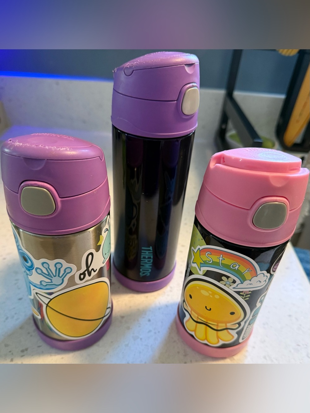 Thermos Kids Stainless Steel Insulated Bottles